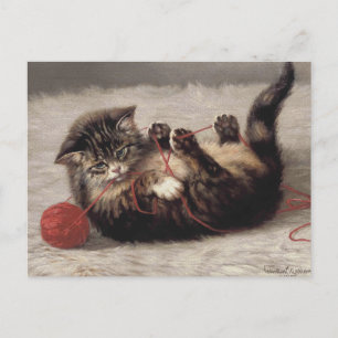 Kattvagga, en katt som spelar Boll av garn Vykort