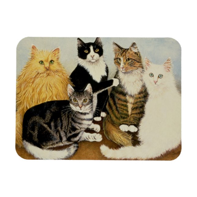 Kattvagga Magnet (Horisontell)