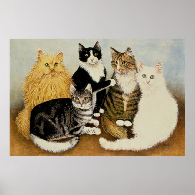 Kattvagga Poster (Framsidan)