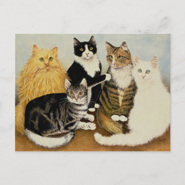 Kattvagga Vykort (Framsida)