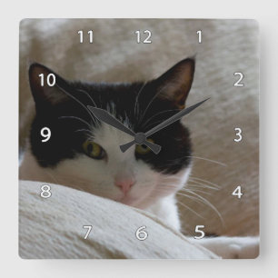 Kattväggen tar tid på fyrkantig klocka
