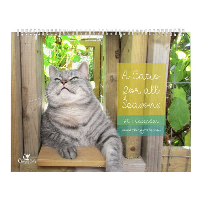 Kattväggkalender 2017 kalender (Omslag)