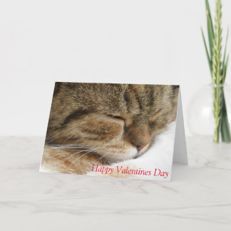 Kattvalentines daykort helgkort