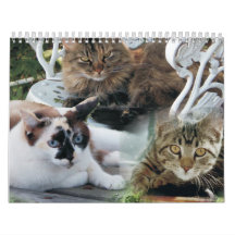 kattvänlig kalender