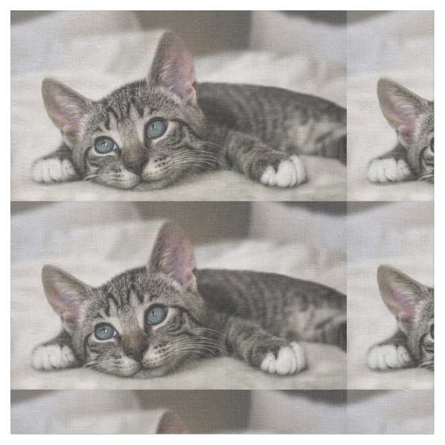 Kattväv! Tyg (Närbild)