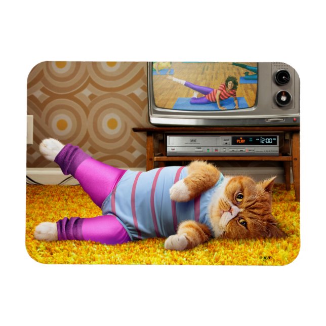 Kattverksamhet Magnet (Horisontell)