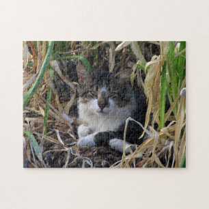 Kattvila i buffertpussel pussel