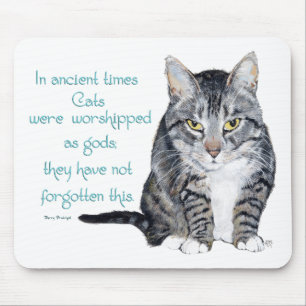 Kattvisdom - i forntiden var katter musmatta