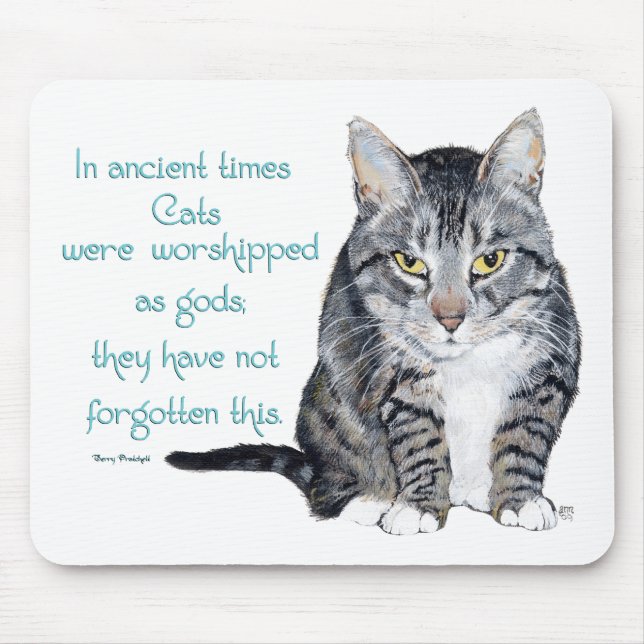 Kattvisdom - i forntiden var katter musmatta (Framsidan)