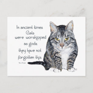 Kattvisdom - i forntiden var katter vykort