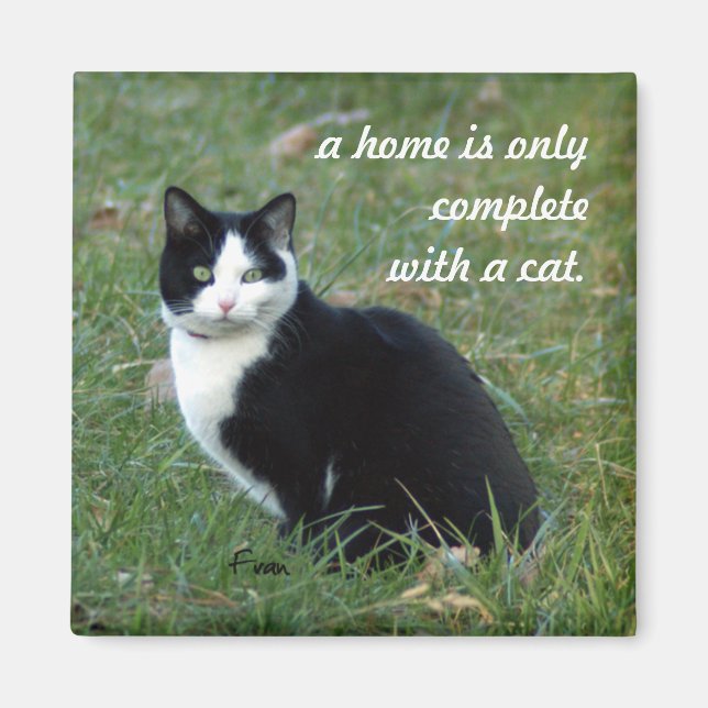 kattvisdom magnet (Framsidan)