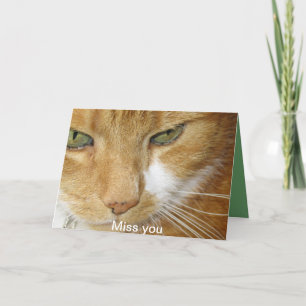 Kattvykort Kort