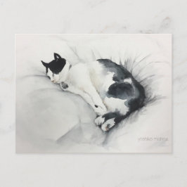 Kattvykort Vykort