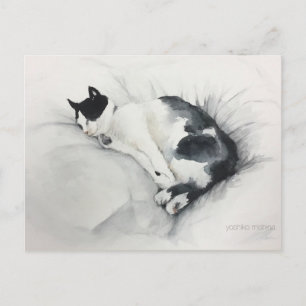 Kattvykort Vykort