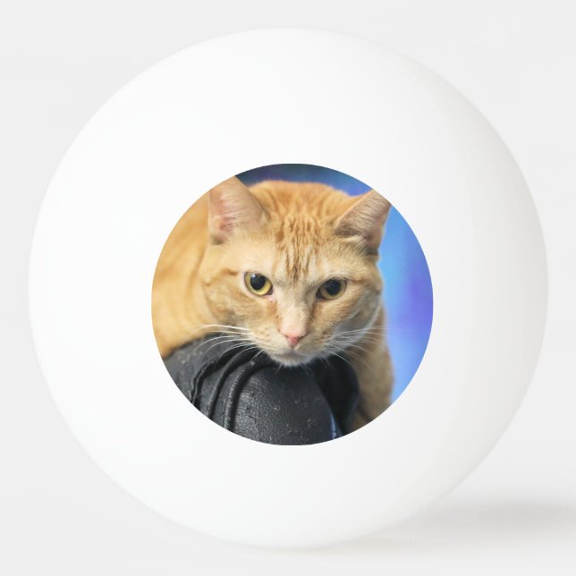 Katurdag Pingisboll (Framsidan)