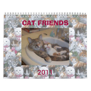 KATVÄNNER FRÅN INTERNET KALENDER