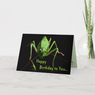 Katydid födelsedag kort