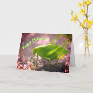 Katydid Grashopper Nature Birthday Kort