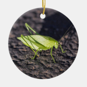 Katydid Julgransprydnad Keramik