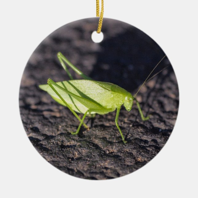 Katydid Julgransprydnad Keramik (Framsidan)