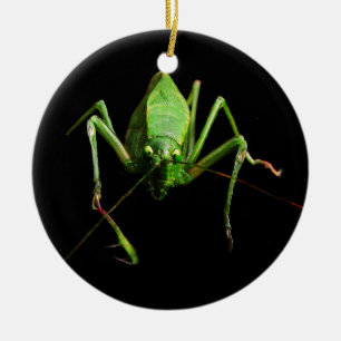 Katydid Julgransprydnad Keramik