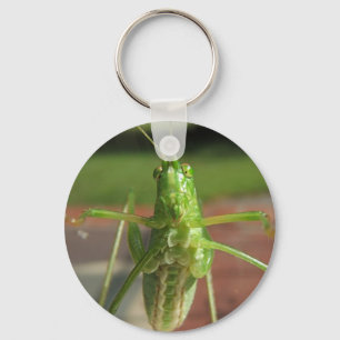 Katydid ~-keychain nyckelring