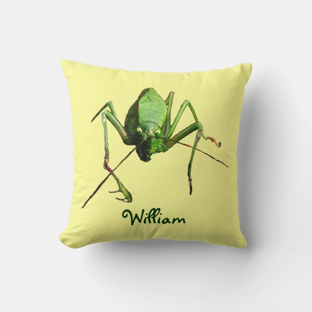 Katydid Kudde (Framsida)
