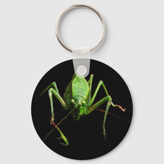 Katydid Nyckelring (Framsida)