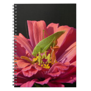 Katydid på Zinnia Anteckningsbok