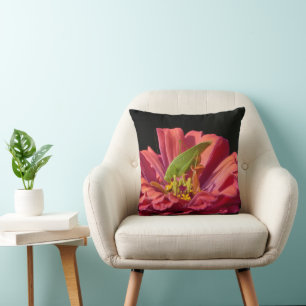 Katydid på Zinnia Kudde