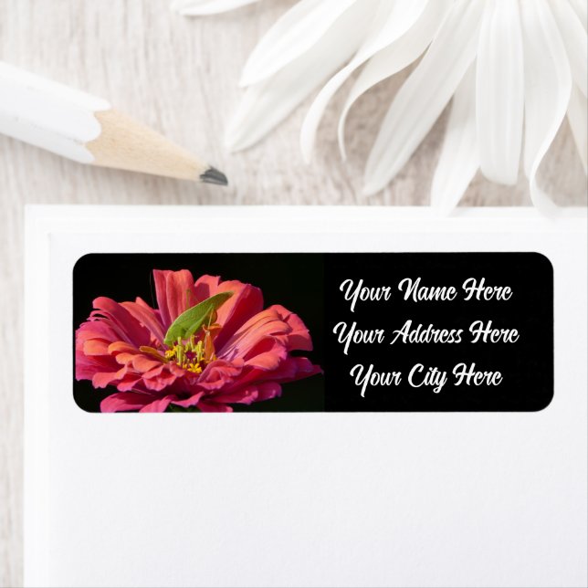 Katydid på Zinnia Returadress Etikett (Insitu)