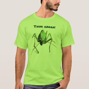 Katydid tänkagrönt tee