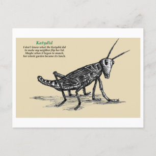 Katydid vykort