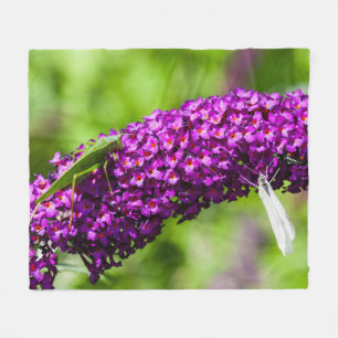 katystorisk energi fleecefilt