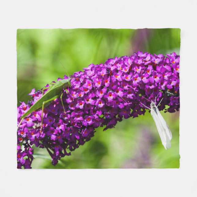 katystorisk energi fleecefilt (Framsidan (Horisontell))