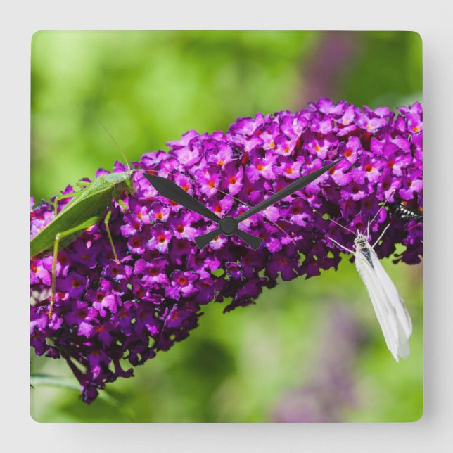 katystorisk energi fyrkantig klocka (Framsida)