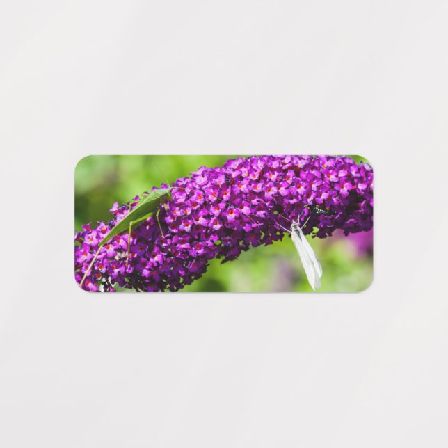 katystorisk energi klistermärke (Design 1)