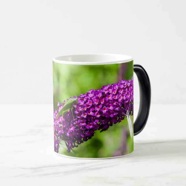 katystorisk energi magisk mugg (Framsida höger)