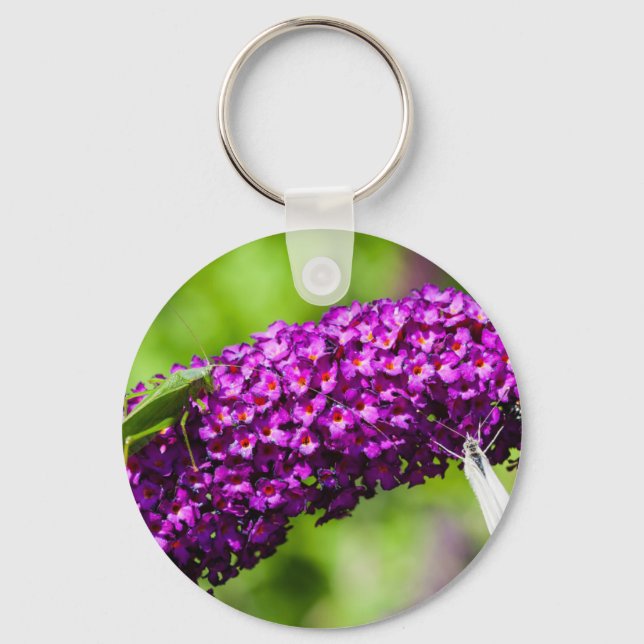 katystorisk energi nyckelring (Framsida)