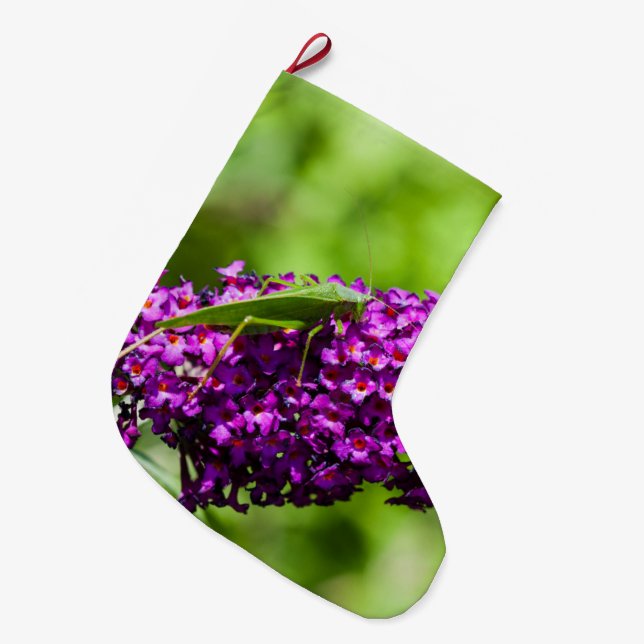 katystorisk energi stor julstrumpa (Framsidan (Hängande))