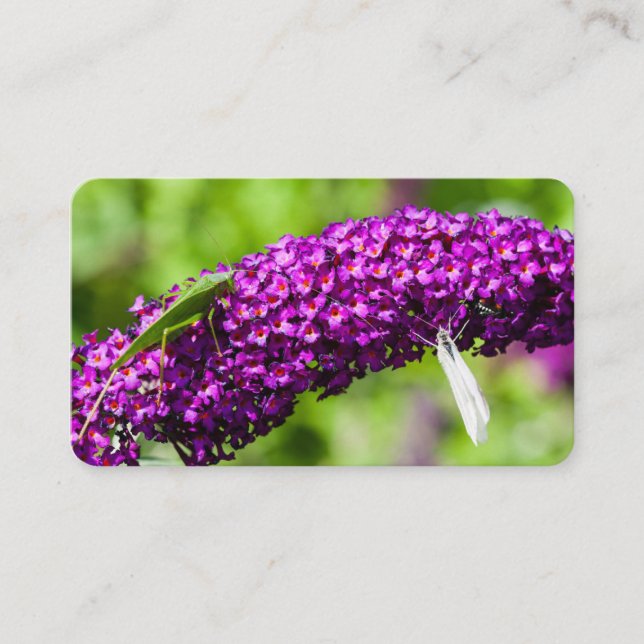 katystorisk energi visitkort (Framsida)