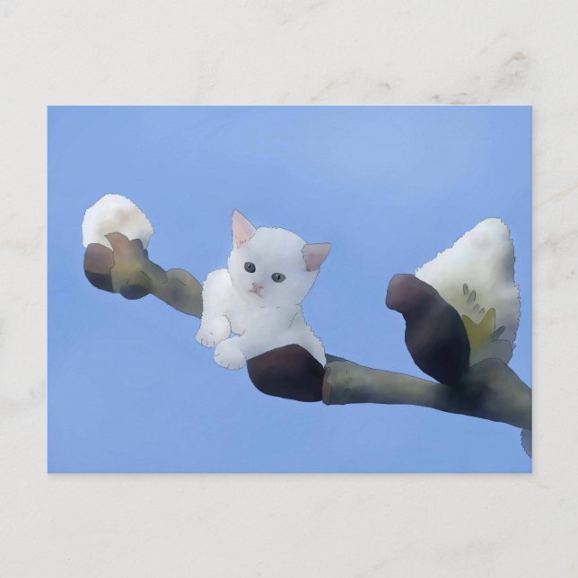 Kätzchenfrühling Vykort (Framsida)