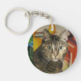 Katze
