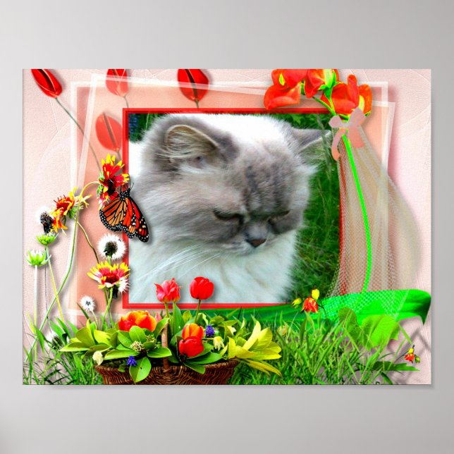 Katze1 für Lilo Poster (Framsidan)