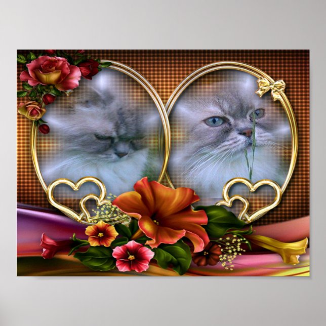 Katze2 für Lilo Poster (Framsidan)