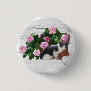 Katze im Rosenbusch Knapp