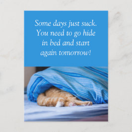 Katze rot Bett versteckt Some days suck Vykort