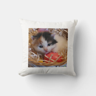 Katzenbaby Kudde