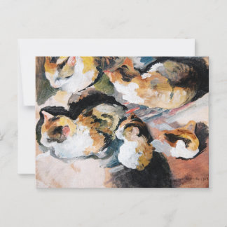 Katzenstudien (Studie av en katt) 1909 Vykort