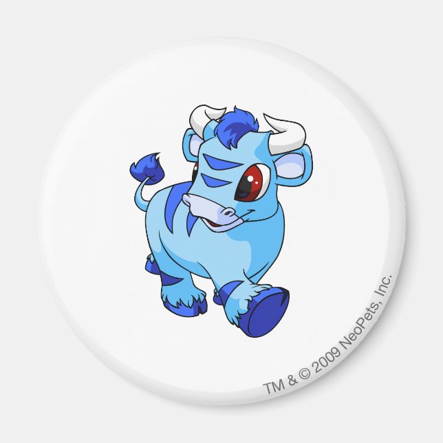 Kau Blue Magnet (Framsidan)